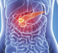 Digestive Health